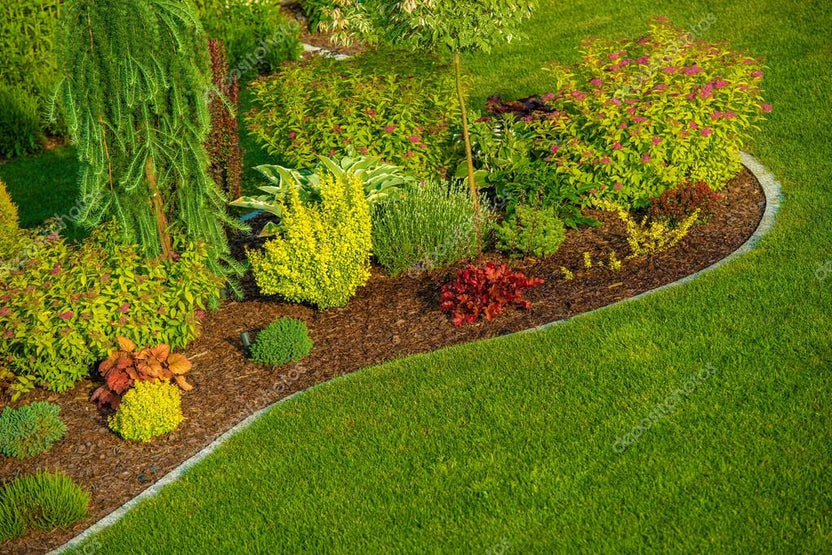 Mountain View Mulch